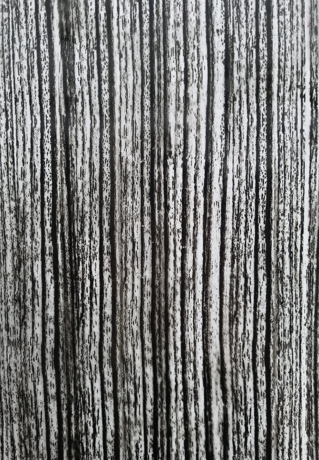 VA51